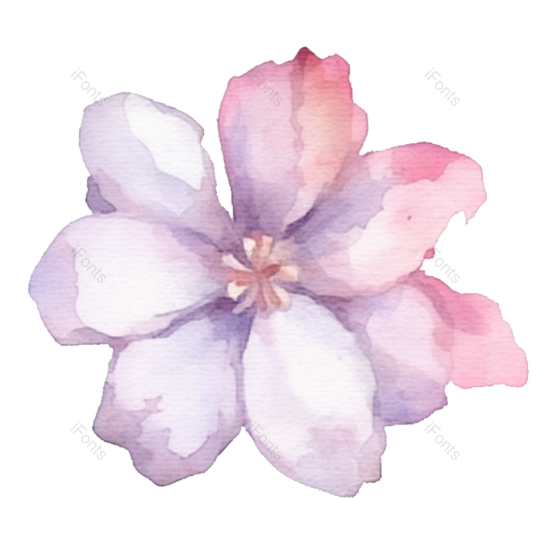 白色背景图片,紫色的花元素,PNG,免抠素材